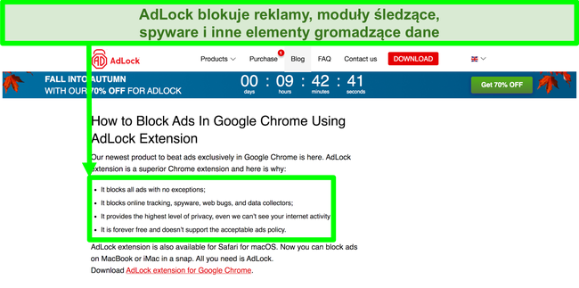 Zrzut ekranu witryny AdLock z informacją, że nie ma zasad &bdquo;dopuszczalnych reklam&rdquo;