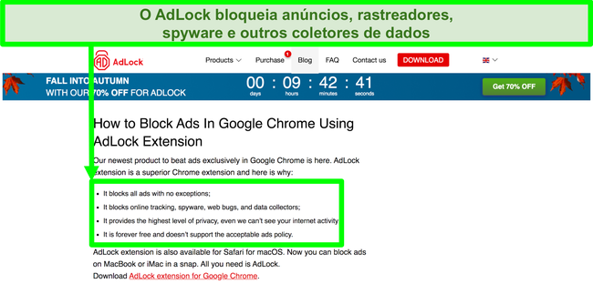 Captura de tela do site AdLock informando que n&atilde;o h&aacute; pol&iacute;tica de "an&uacute;ncios aceit&aacute;veis"