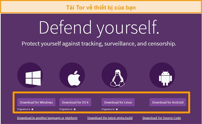 Ảnh chụp m&agrave;n h&igrave;nh tổng quan trang tải xuống dự &aacute;n Tor