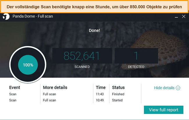 Screenshot des von Panda durchgef&uuml;hrten vollst&auml;ndigen Scans.