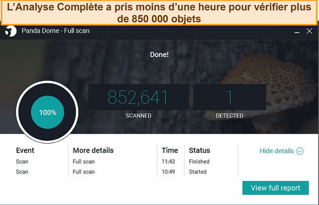 Capture d'&eacute;cran de l'analyse compl&egrave;te de Panda.