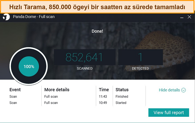 Panda'nın Tam Taraması'nın ekran g&ouml;r&uuml;nt&uuml;s&uuml;.