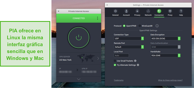 Captura de pantalla de la interfaz gr&aacute;fica de usuario de PIA en Linux.