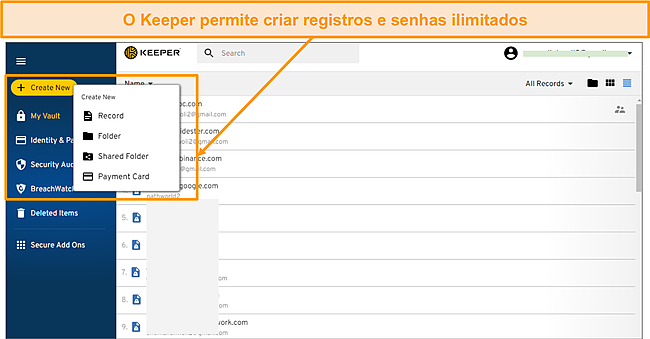 Captura de tela da adi&ccedil;&atilde;o de registros no aplicativo Keeper.