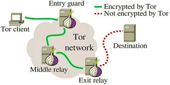 Диаграмма, показывающая, как работает сеть Tor