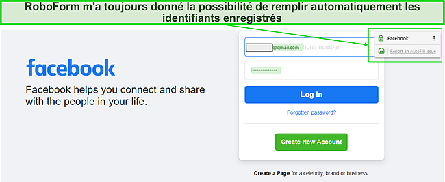 Capture d'&eacute;cran de la fonction de remplissage automatique de RoboForm.