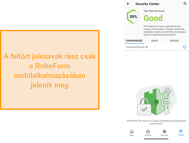 K&eacute;pernyők&eacute;p a RoboForm felt&ouml;rt jelszavak szakasz&aacute;r&oacute;l.