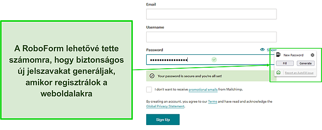 K&eacute;pernyők&eacute;p a RoboForm biztons&aacute;gos jelsz&oacute;gener&aacute;tor&aacute;r&oacute;l.