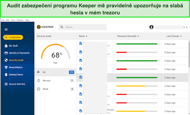 Sn&iacute;mek obrazovky karty Audit zabezpečen&iacute; aplikace Keeper