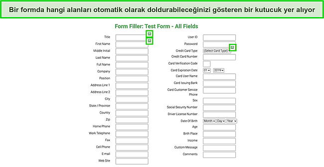 Roboform'un otomatik doldurma &ouml;zelliği tarafından otomatik olarak doldurulan test formunun ekran g&ouml;r&uuml;nt&uuml;s&uuml;.