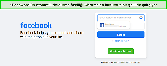 1Password otomatik doldurma &ouml;zelliğinin ekran g&ouml;r&uuml;nt&uuml;s&uuml;.