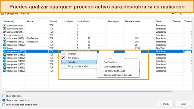 Captura de pantalla de la pesta&ntilde;a de conexiones de Tinywall