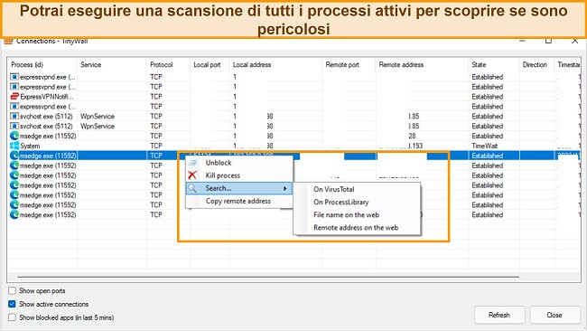 Screenshot della scheda Connessioni di Tinywall