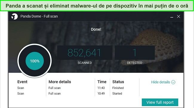 Captură de ecran a paginii cu rezultatele scanării complete Panda