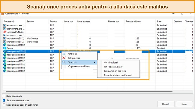 Captură de ecran a filei conexiuni Tinywall
