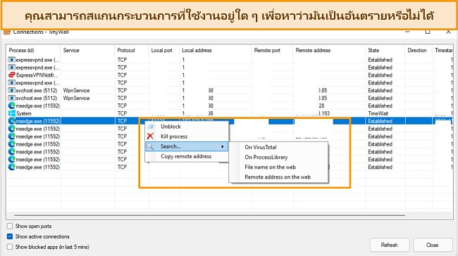 ภาพหน้าจอของแท็บการเชื่อมต่อ Tinywall