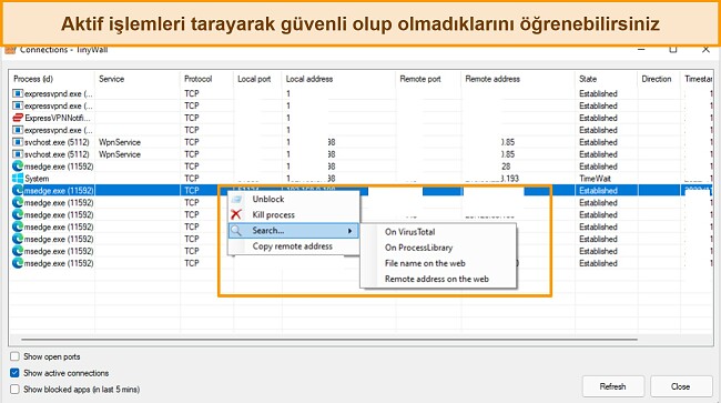 Tinywall bağlantıları sekmesinin ekran g&ouml;r&uuml;nt&uuml;s&uuml;
